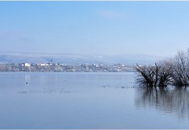 Dunavska avlija